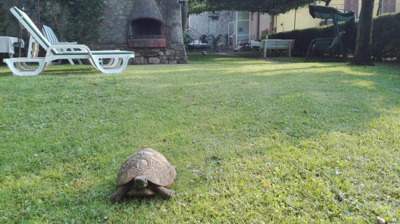 Corte Faliva Brenzone sul Garda Exteriér fotografie